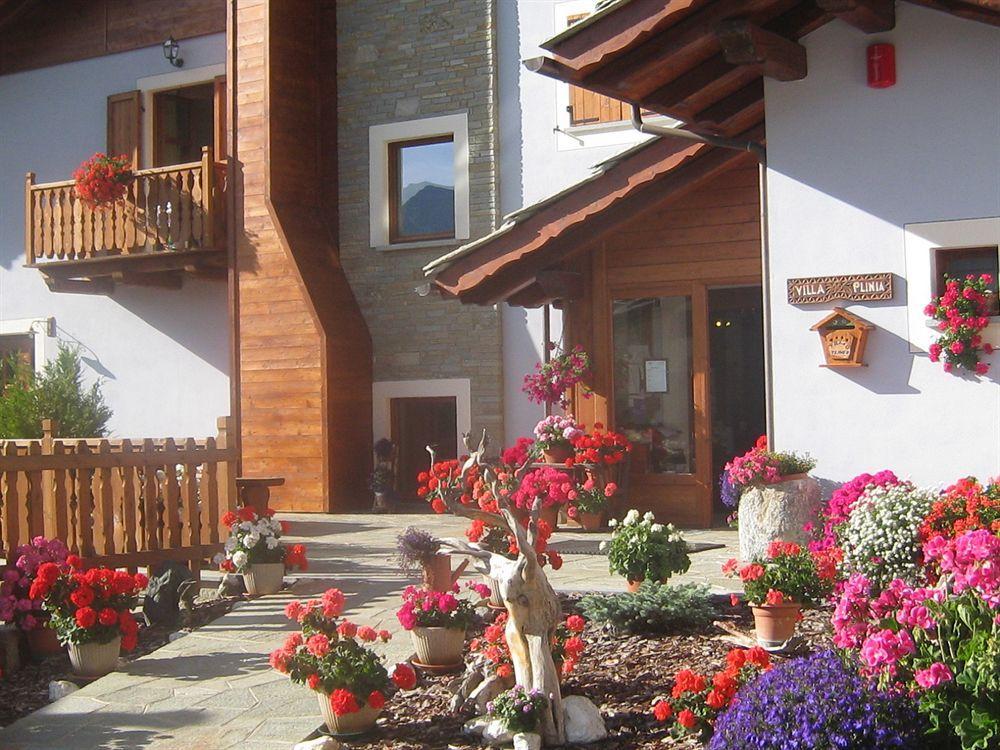 Hotel Villa Plinia Pragelato Εξωτερικό φωτογραφία