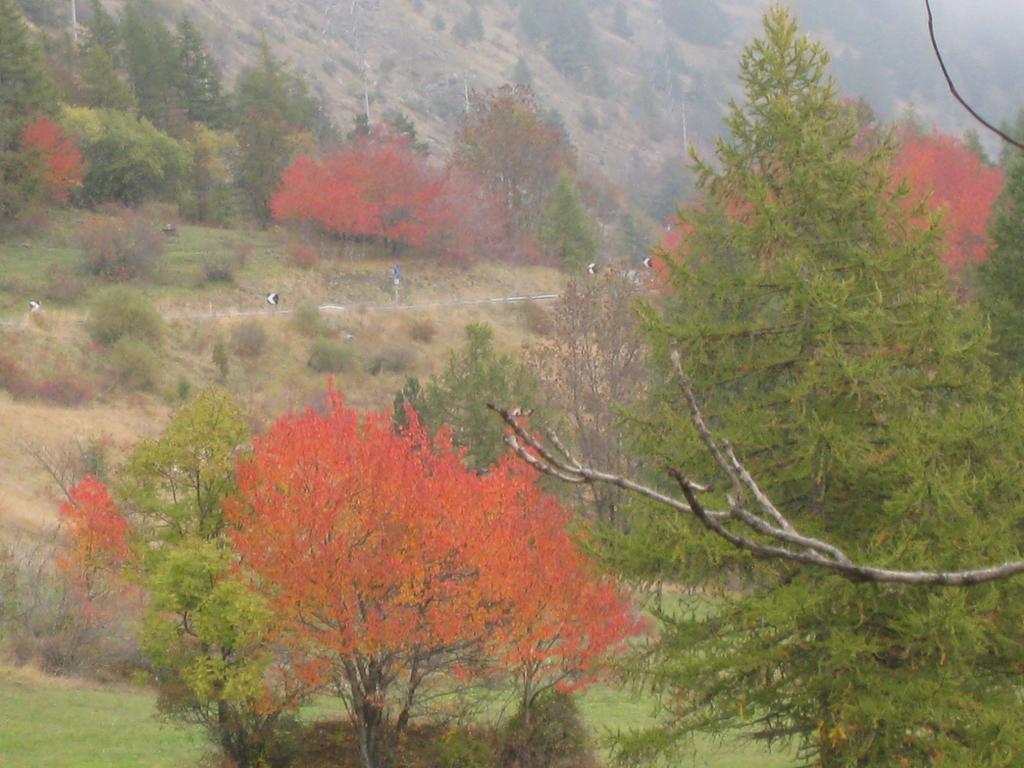 Hotel Villa Plinia Pragelato Εξωτερικό φωτογραφία
